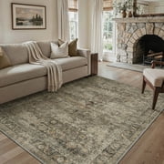 GENIMO 5'x7' Area Rug for Living Room, Washable Non Slip Soft Persian Rug for Bedroom Dining Room Home Office, Dusty Tau