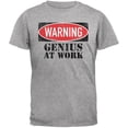 thumbnail image 1 of Genius At Work Heather Grey Adult T-Shirt - Small, 1 of 1