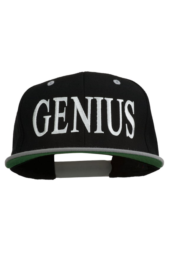 Genius Embroidered Two Toned Snapback Cap - Black Silver OSFM