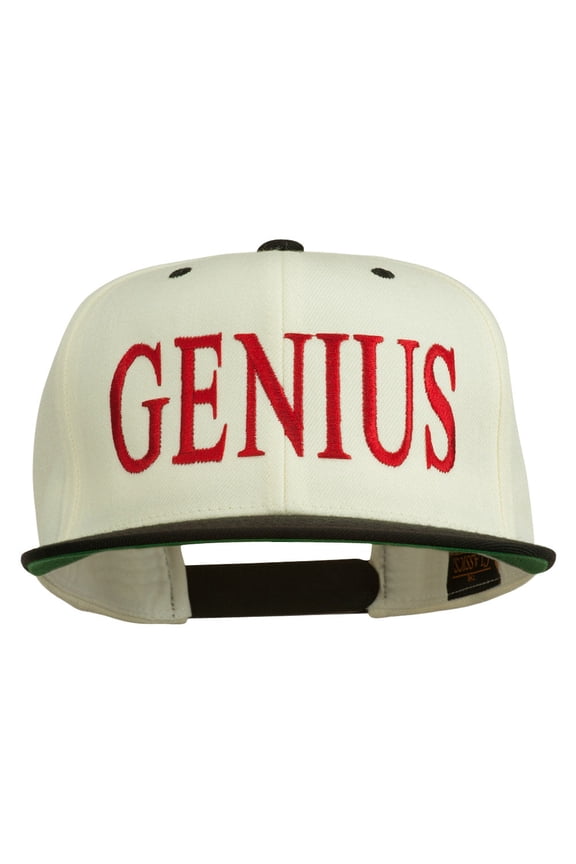 Genius Embroidered Two Toned Snapback Cap - Natural Black OSFM