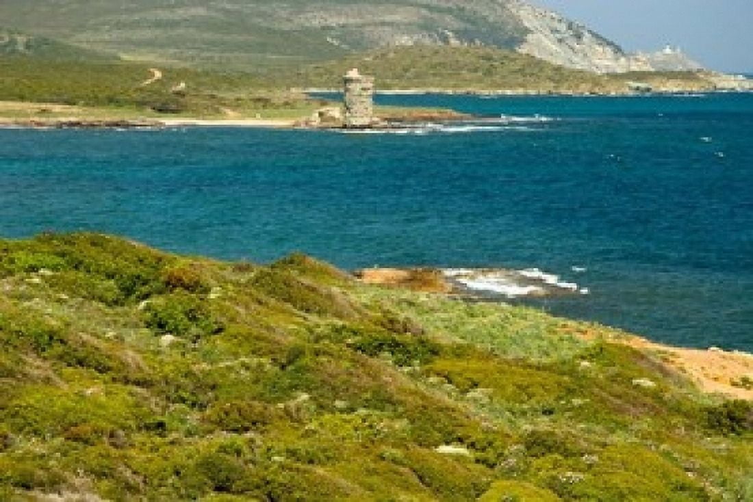 Genoan Towers Corsica Canvas Art - Trish Drury DanitaDelimont (36 x 24)