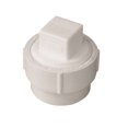 thumbnail image 1 of Genova 193702AS Fitting Cleanout with Threaded Plug, 2 Inch, 1 of 1