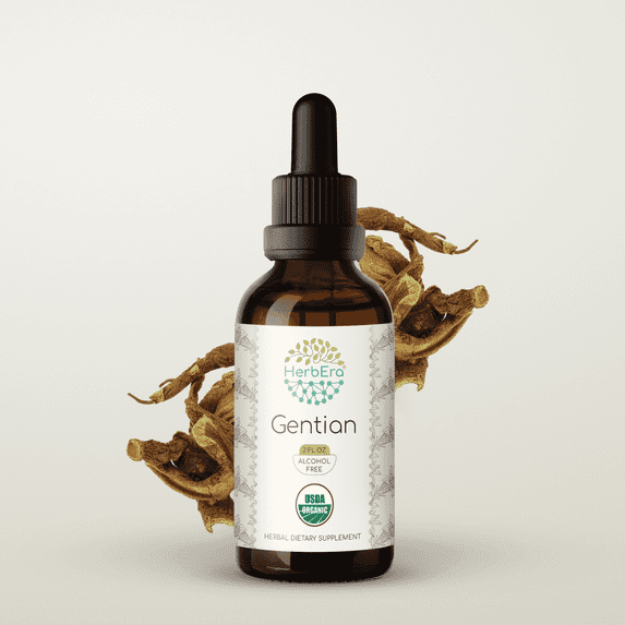 HerbEra Gentian Tincture, Organic Herbal Dietary Supplement for Digestive Support, Certified Organic Gentian (Gentiana lutea) Dried Root Extract, Natural, Alcohol-Free, Drops 2 oz