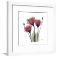 thumbnail image 1 of Gentian Trio in Red, Botanical Framed Art Print Wall Art by Albert Koetsier Sold by Art.Com, 1 of 1