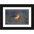 thumbnail image 1 of Gentili, Marco 14x10 Black Ornate Wood Framed with Double Matting Museum Art Print Titled - The First Ray, 1 of 4