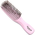 thumbnail image 1 of Gentle 6.5" Nylon Bristle Scalp Sensitive Travel Size Hair Brush, 1 of 24
