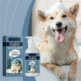 thumbnail image 1 of Gentle Cat & Kitten Shampoo 100ml for Itchy, Sensitive Skin with Botanical Extracts, Mild pH Balance, Odor Elimination, Suitable for All Fur Types, Nourishing & Long-Lasting Freshness, 1 of 9