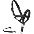 thumbnail image 1 of SkyAuks Gentle Leader for Dogs, Dog Head Halter with Safety Strap, Adjustable Prevent Pulling Dog Head Halter Dog Head Harness Perfect for Leash and Harness Training Medium and Large Dog Sizes(Black), 1 of 8