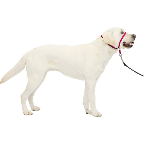 Gentle Leader No-Pull Dog Headcollar - The Ultimate Solution to Pulling - Redirects Your Dog's Pulling for Easier Walks - Hes You Regain Control - Large, Raspberry Pink