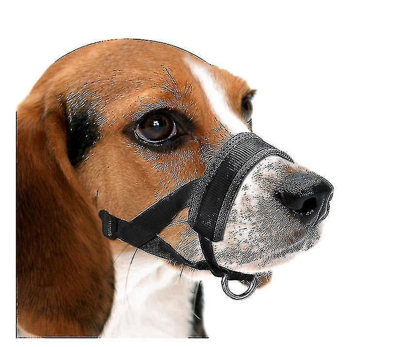 Gentle Muzzle Guard For Dogs Prevents Biting Unwanted Chewing Walmart