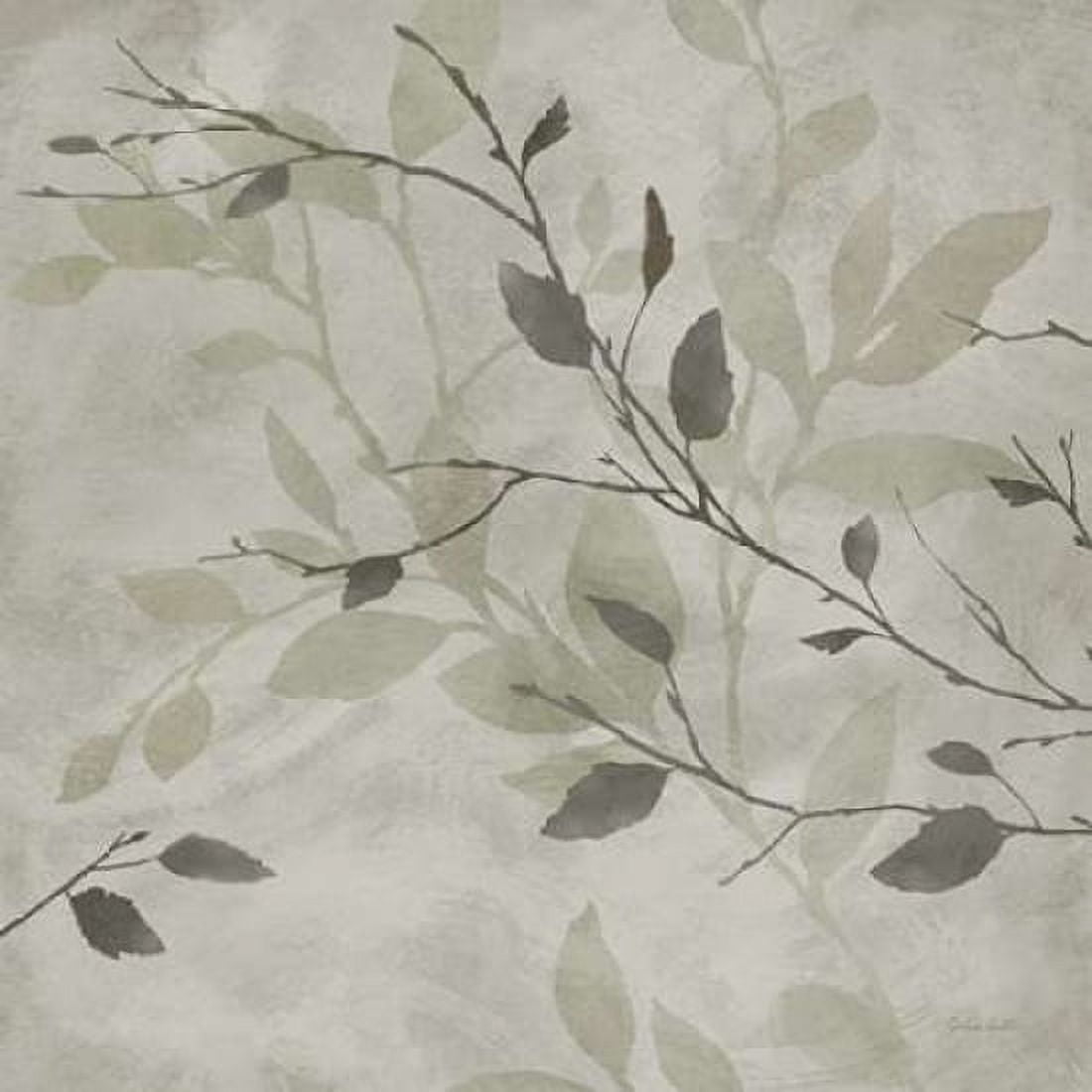 Gentle Nature II Canvas Art - Cynthia Coulter (24 x 24)
