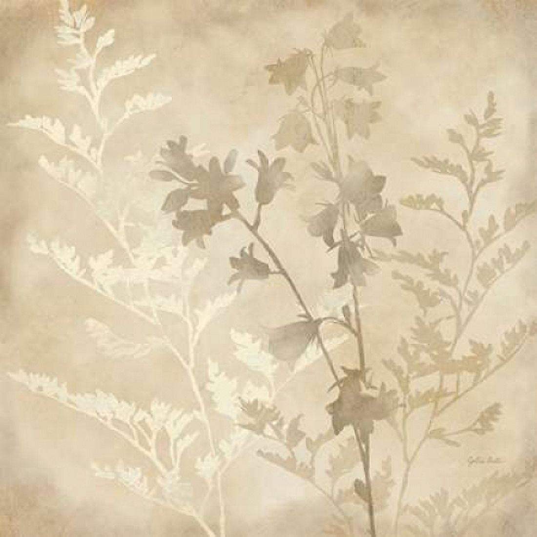 Gentle Nature IV Canvas Art - Cynthia Coulter (24 x 24)