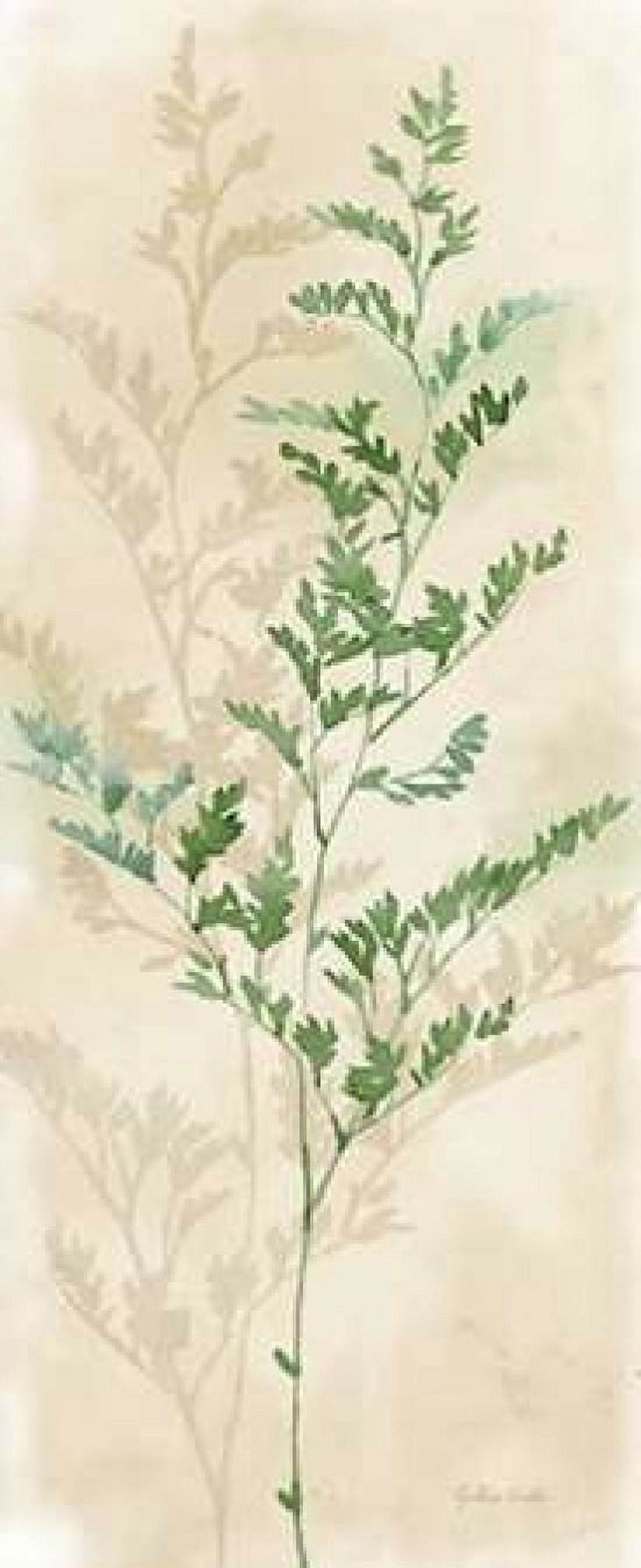 Gentle Nature Panel II Canvas Art - Cynthia Coulter (10 x 20)