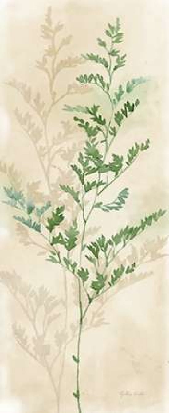 Gentle Nature Panel II Canvas Art - Cynthia Coulter (24 x 48)
