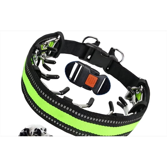 Gentle Pinch Collar for Dogs, Adjustable Training Collar with Quick Release Buckle, Puppy Prong Collar, Detachable Links, for Small Medium arge Dogs(Green, 21.6in)