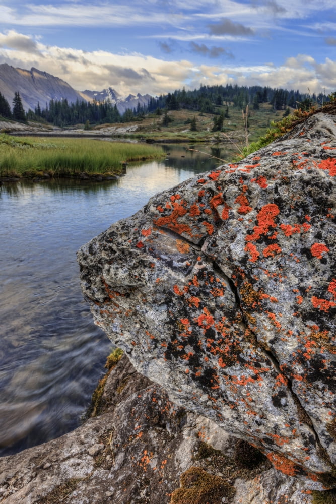 A Gentle Stream Flows Out Of Baker Lake Through The Skoki Wilderness In Banff National Park Banff Alberta Canada Canvas Art - Ron Watts Design Pics (12 x 18)