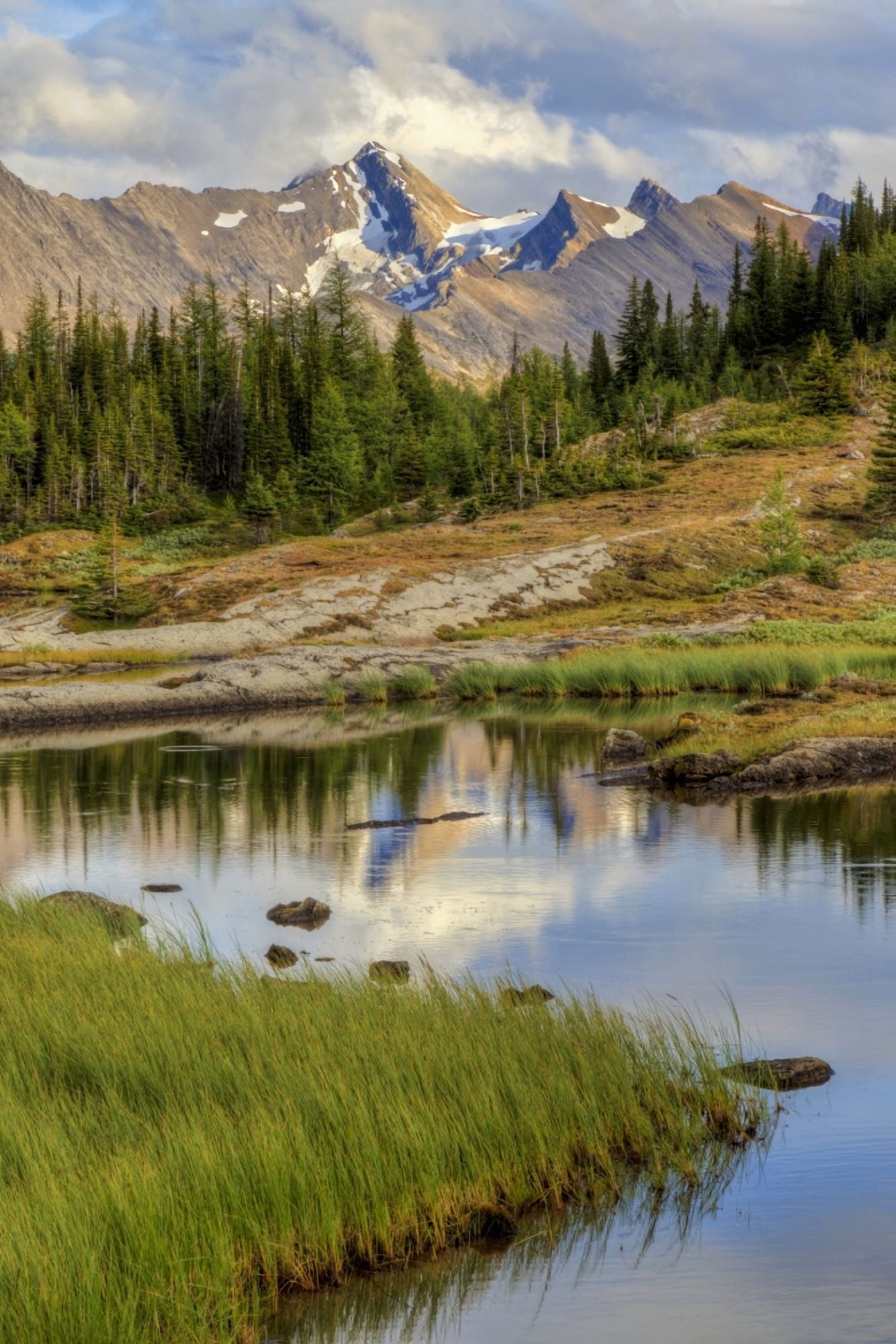 A Gentle Stream Flows Out Of Baker Lake Through The Skoki Wilderness In Banff National Park Banff Alberta Canada Canvas Art - Ron Watts Design Pics (24 x 36)