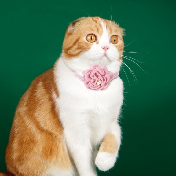 Gentleman Style Camellia Flower Cat Collar with Cute Charm Decoration for Elegant Feline Pet Supplies
