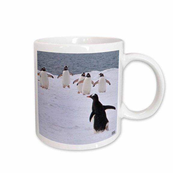 3drose, Gentoo Penguin, 11oz Mug