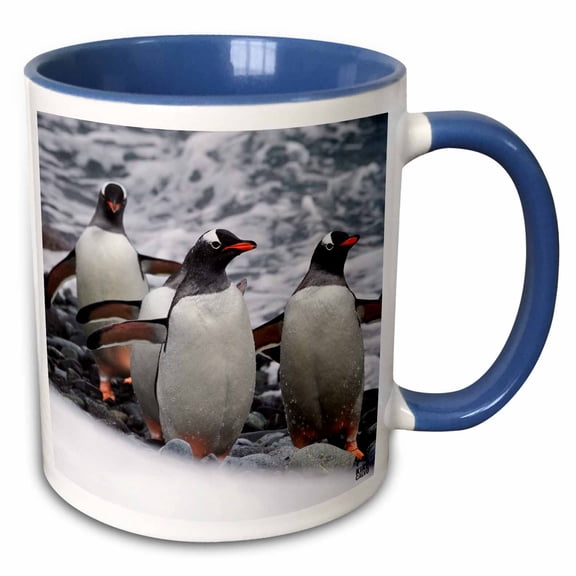 3drose, Gentoo Penguin, 11oz Two-tone Blue Mug