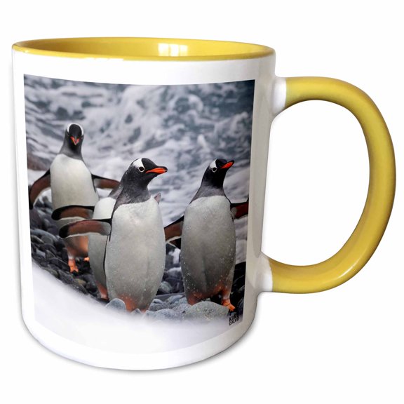 3drose, Gentoo Penguin, 11oz Two-tone Yellow Mug