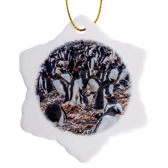3drose, Gentoo Penguin Rookery Crying, Greenwich Island, Antarctica., 3 inch Snowflake Porcelain Ornament