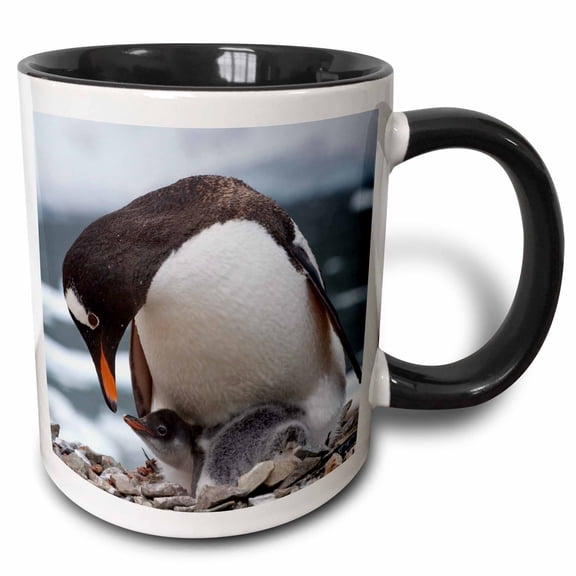 3drose, Gentoo Penguins, Neko Harbor, Antarctica-an01 Ksu0188 - Keren Su, 11oz Two-tone Black Mug