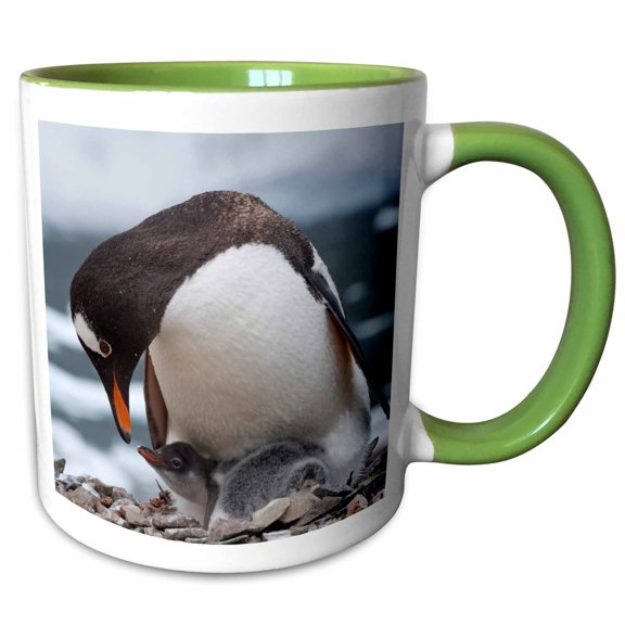 3drose, Gentoo Penguins, Neko Harbor, Antarctica-an01 Ksu0188 - Keren Su, 11oz Two-tone Green Mug