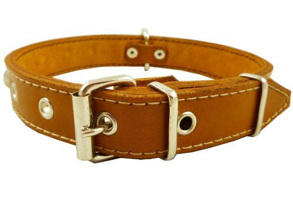 Thick studded dog collar new arrivals