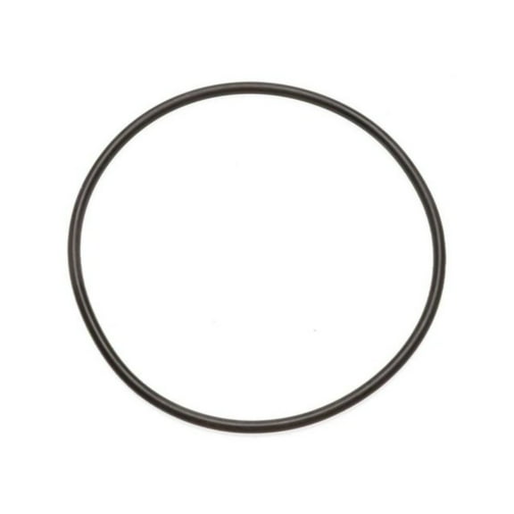 KarParts360 For Cadillac 60 Special 1993 Piston Cylinder Seal | Rubber | Black | Round Rim | O-Ring Seal | 2.8 Inches Inside Diameter | Replacement For 8651541