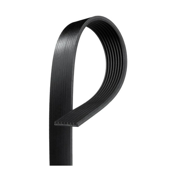 KarParts360 For BMW M2 2017 2018 Serpentine Belt | V-Ribbed | 8 Rib | 1.09 Inches Top Width | Replacement For 19311061