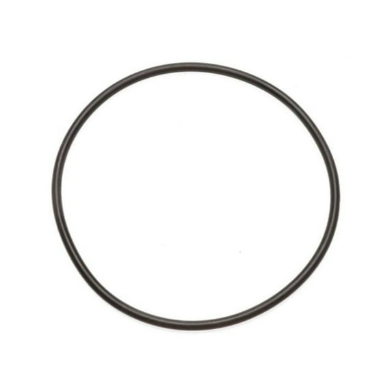 KarParts360 For Oldsmobile Achieva 1994 95 96 97 1998 Piston Cylinder Seal | Rubber | Black | Round Rim | O-Ring Seal | 2.8 Inches Inside Diameter | Replacement For 8651541