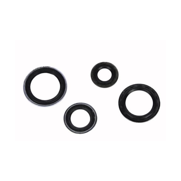 KarParts360 For Buick Encore 2013-2021 Valve Seal Set Rubber Round O Ring Rim | 0.992 Inches Maximum Outside Diameter | 0.44 Inches O Ring Minimum Inside Diameter