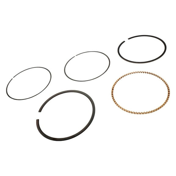 KarParts360 For Chevy Express 1500/2500/3500 1996-2008 Engine Piston Ring