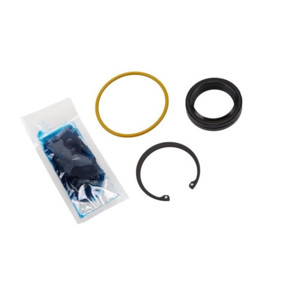 Genuine AC Delco For Chevy Silverado 2500 HD 2019 2020 2021 Steering Gear Pitman Shaft Seal | Steel And Rubber | Black