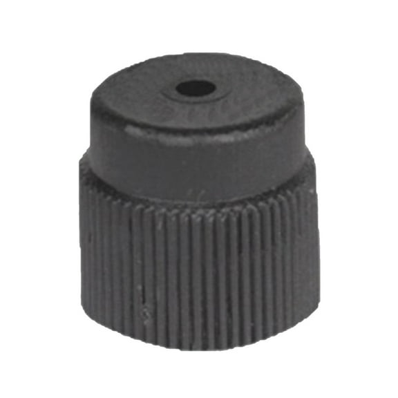 KarParts360 For Chevy Silverado 3500 2001-2019 Valve Fitting Cap | M10 By 1.0 Thread Size