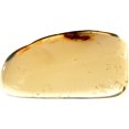 thumbnail image 1 of Genuine Amber Fossil Specimen - Large Insect Inclusion - Naturally Formed from Colombia with Bug Inside - Museum Grade, A-Grade - Great Collectible - Piece #16 (23mm x 13mm), 1 of 2