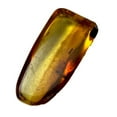 thumbnail image 1 of Genuine Amber Specimen with Insect Inclusions - 15/16" x 1/2", 1 of 2