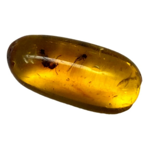 Genuine Amber Specimen with Insect Inclusions -15/16" x 3/8"