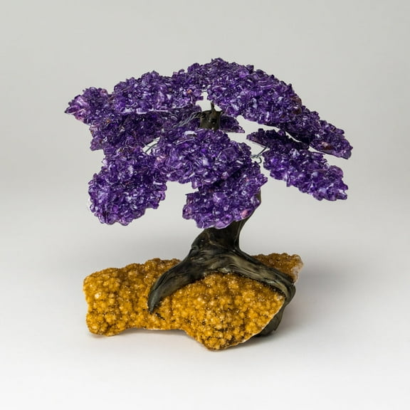 Genuine Amethyst Clustered Gemstone Tree on Citrine Matrix (The Empowerment Tree ) 7"