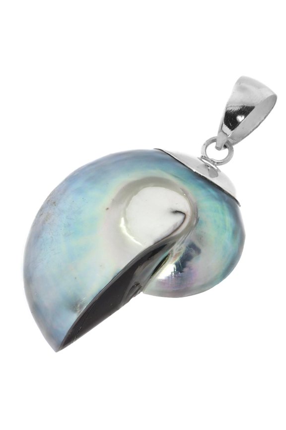 Genuine Blue Iridescent Natural Nautilus Shell 925 Sterling Silver Pendant, 1 9/16"