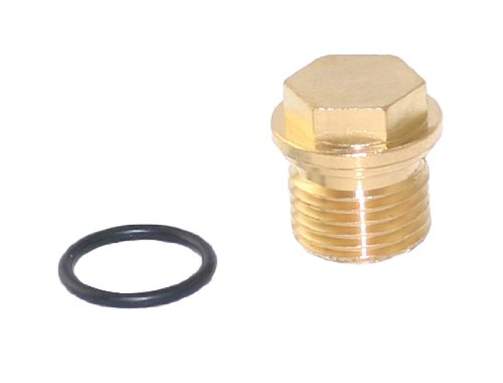 Genuine Briggs & Stratton 201495GS Pressure Washer Pump Plug OEM