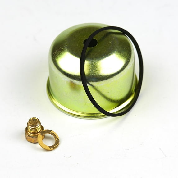 Genuine Briggs & Stratton 495933 Carburetor Float Bowl Kit OEM