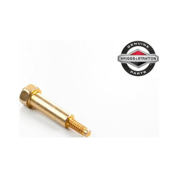 Genuine Briggs & Stratton 691630 Screw Replaces 93838 555110