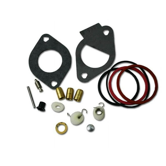 Genuine Briggs & Stratton 796185 Carburetor Overhaul Kit