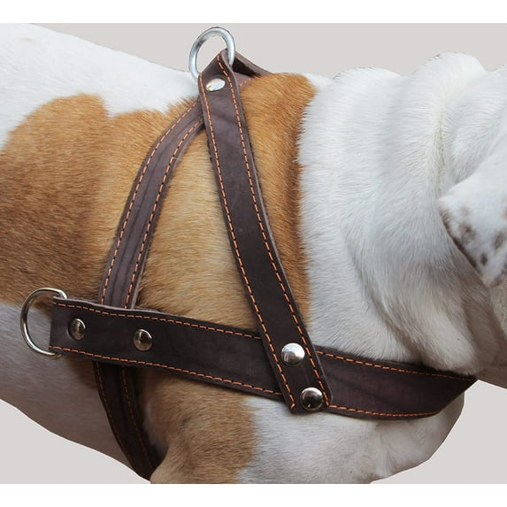 Genuine Brown Leather Dog Pulling Walking Harness XLarge. Chest, 1.5" Wide Straps