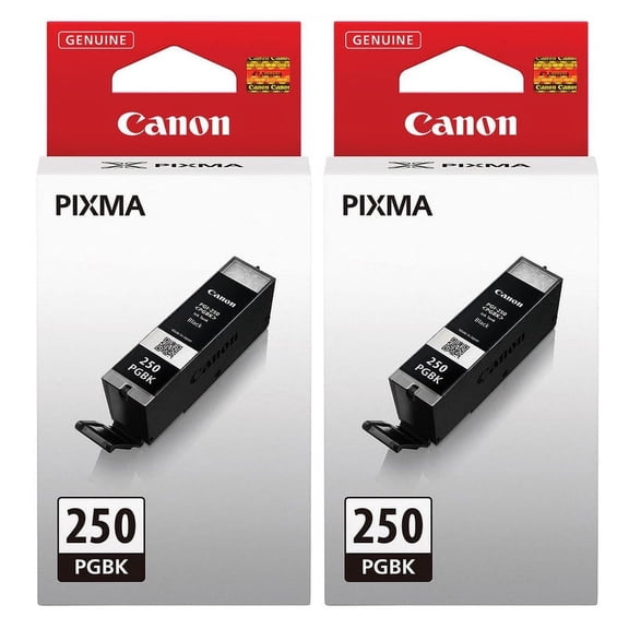 Genuine Canon PGI-250 Black Ink Tanks (2 pieces) 6497B001