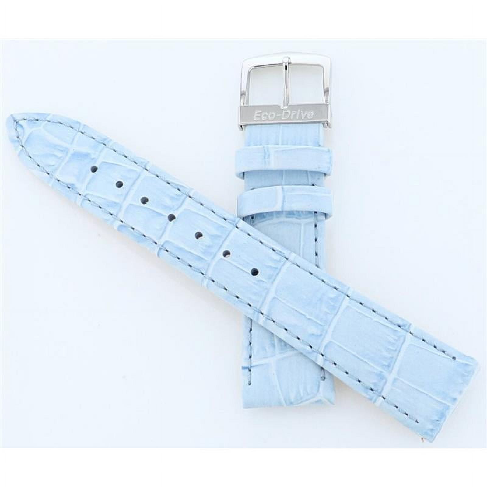Genuine citizen hotsell watch bands