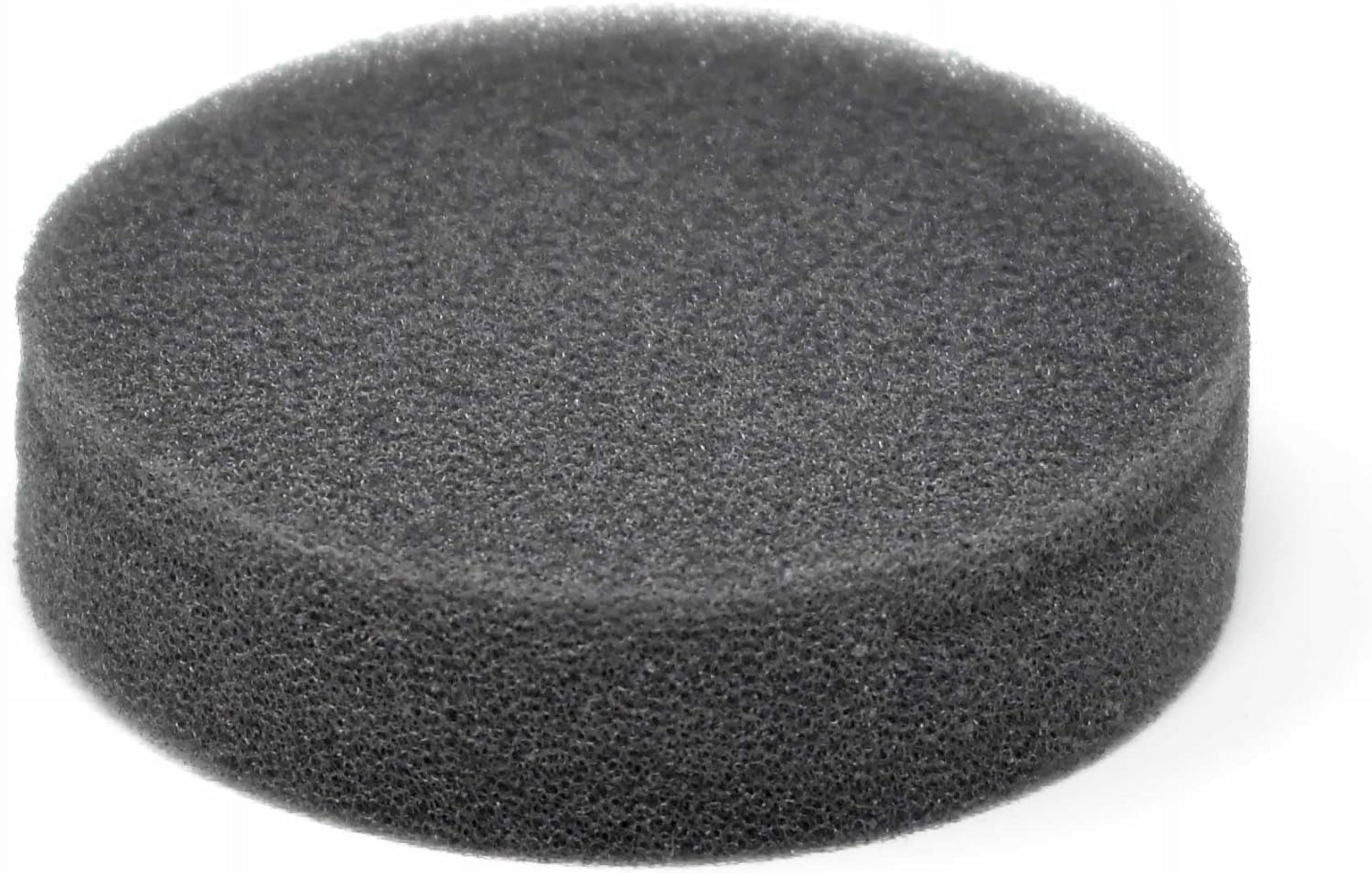Genuine Kirby Carpet Shampooer Tank Filter Sponge