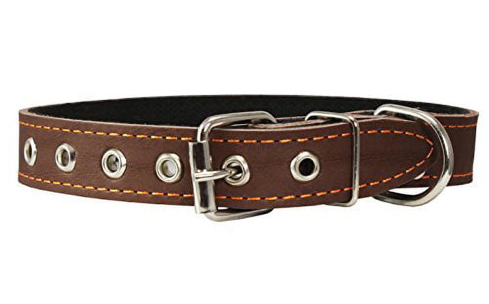 【 Genuine Leather Collar 】 Genuine Leather Dog Collar, Cotton Padded, 1